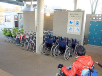 Medium_とっとり花回廊 (9)s